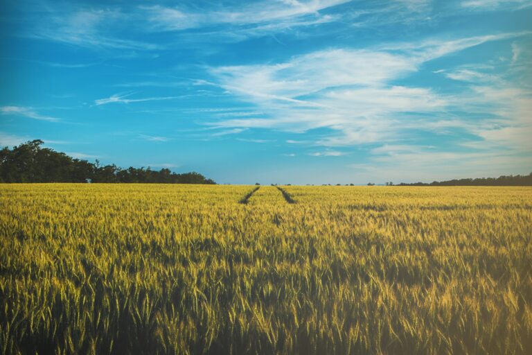 February 28, 2024: Roundup Update