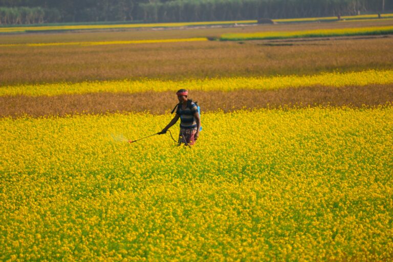 March 12, 2024: Paraquat Update