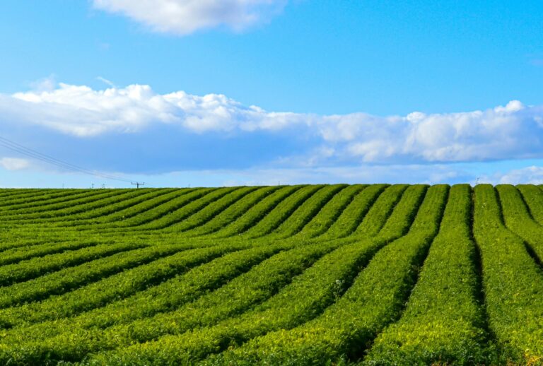 April 3, 2024: Paraquat Update